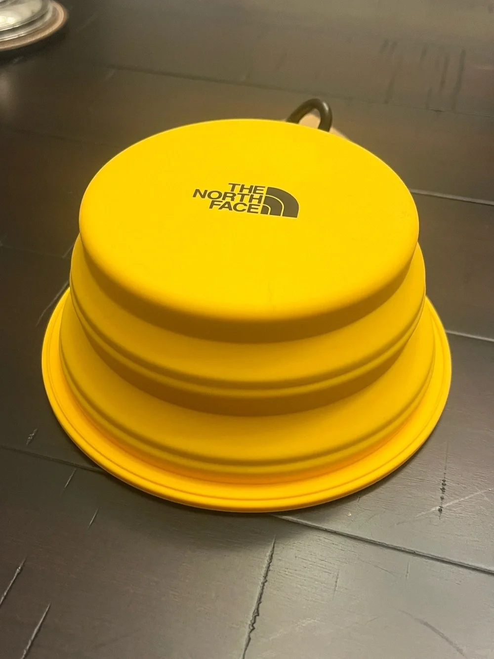 The North Face Dog Pet Leash 60” + Collapsible Travel Bowl Summit Gold new